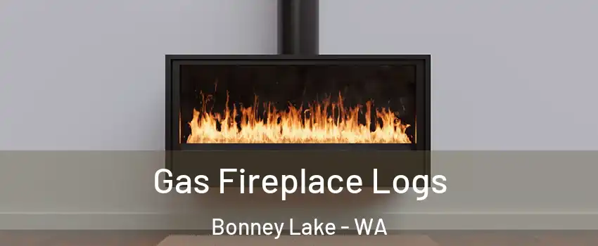  Gas Fireplace Logs Bonney Lake - WA