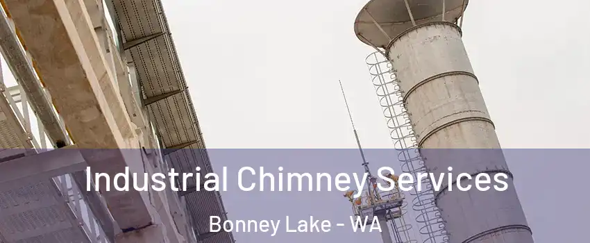 Industrial Chimney Services Bonney Lake - WA