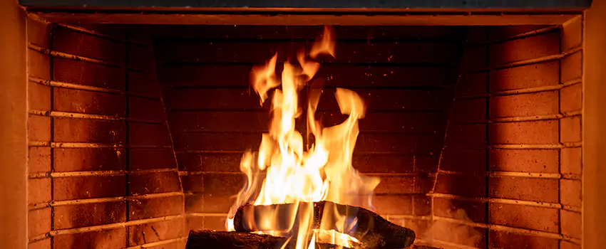 Soot Cleanup Services in Bonney Lake, WA