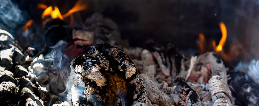 Creosote Removal Experts in Bonney Lake, WA