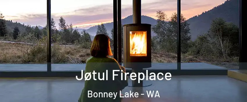  Jøtul Fireplace Bonney Lake - WA