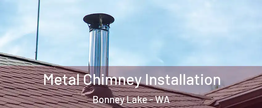 Metal Chimney Installation Bonney Lake - WA