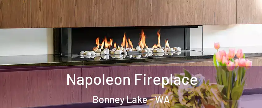  Napoleon Fireplace Bonney Lake - WA