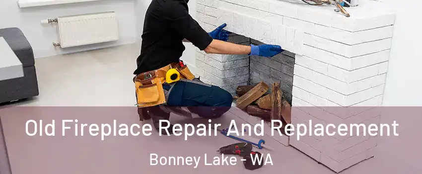 Old Fireplace Repair And Replacement Bonney Lake - WA
