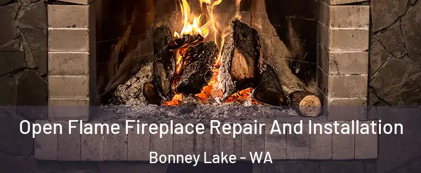  Open Flame Fireplace Repair And Installation Bonney Lake - WA