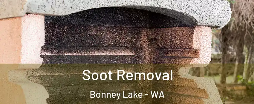  Soot Removal Bonney Lake - WA