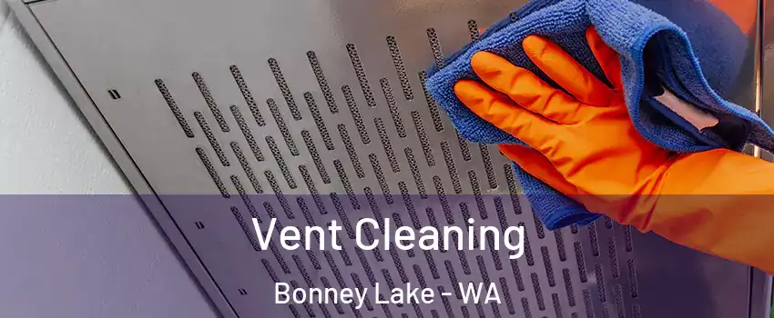 Vent Cleaning Bonney Lake - WA