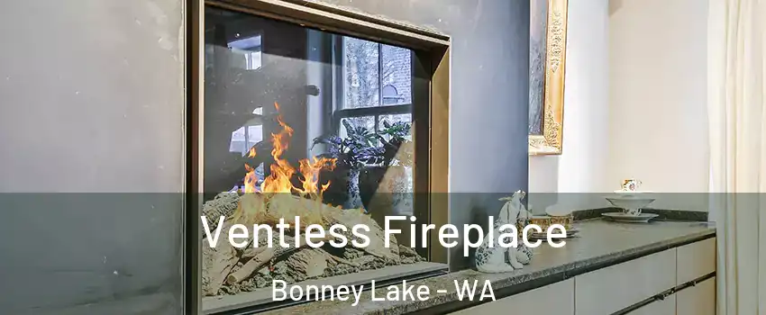 Ventless Fireplace Bonney Lake - WA