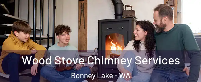 Wood Stove Chimney Services Bonney Lake - WA