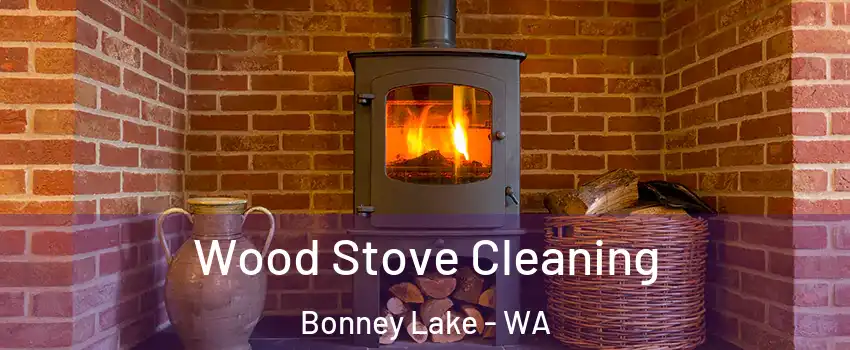  Wood Stove Cleaning Bonney Lake - WA